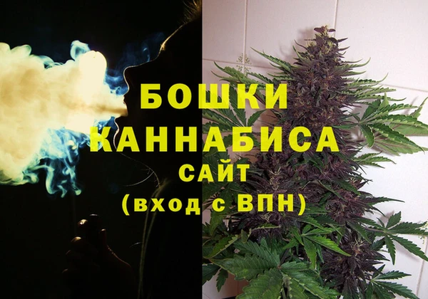 винт Нея