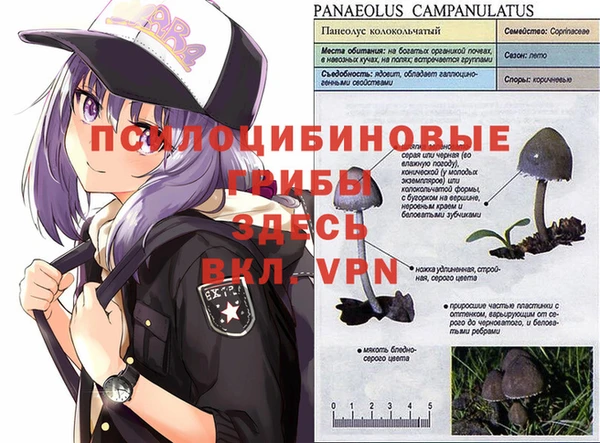 наркотики Нефтегорск