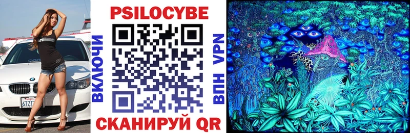 Купить  Ярцево  Псилоцибиновые грибы GOLDEN TEACHER 